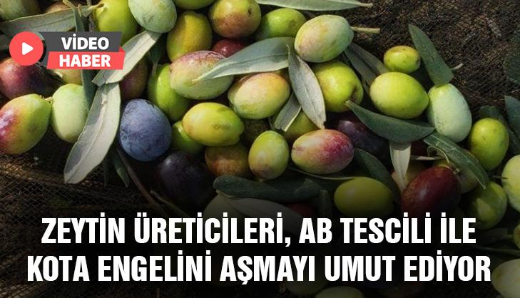 Zeytin Üreticileri, Ab Tescili Ile Kota Engelini Aşmayı Umut Ediyor