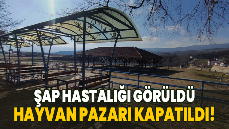 Şap Hastalığı Görülen Ilçede Hayvan Pazarı Kapatıldı