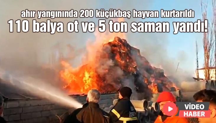 Ahır Yangınında 110 Balya Ot Ve 5 Ton Saman Yandı, 200 Küçükbaş Hayvan Kurtarıldı