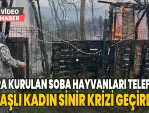 Ahıra Kurulan Soba Hayvanları Telef Etti, Yaşlı Kadın Sinir Krizi Geçirdi