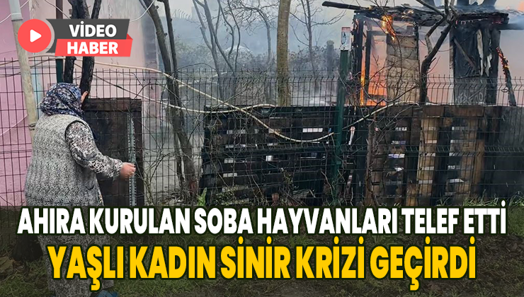 Ahıra Kurulan Soba Hayvanları Telef Etti, Yaşlı Kadın Sinir Krizi Geçirdi