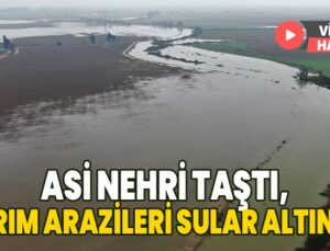 Asi Nehri Taştı Tarım Arazileri Sular Altında Kaldı