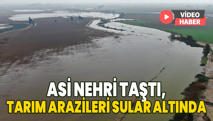 Asi Nehri Taştı Tarım Arazileri Sular Altında Kaldı