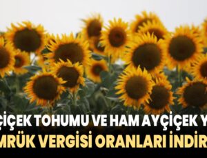 Ayçiçek Tohumu Ve Ham Ayçiçek Yağı Gümrük Vergisi Oranları Indirildi