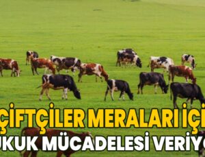 Çiftçiler Meraları Için Hukuk Mücadelesi Veriyor