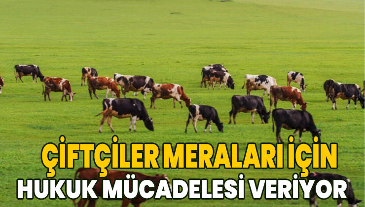 Çiftçiler Meraları Için Hukuk Mücadelesi Veriyor