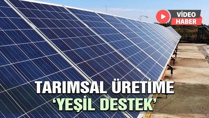 Çukurova’da Tarımsal Üretime “Yeşil Destek”