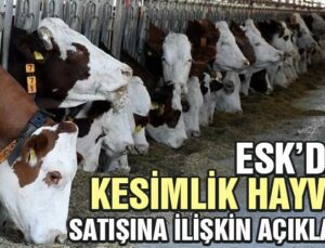 Esk’Den Kesimlik Hayvan Satışına Ilişkin Açıklama