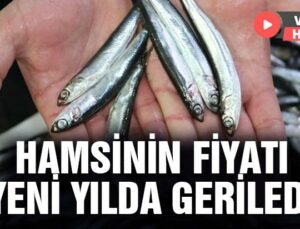 Hamsinin Fiyatı Yeni Yılda Geriledi