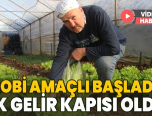 Hobi Bahçesi Emekliye Ek Gelir Sağlıyor