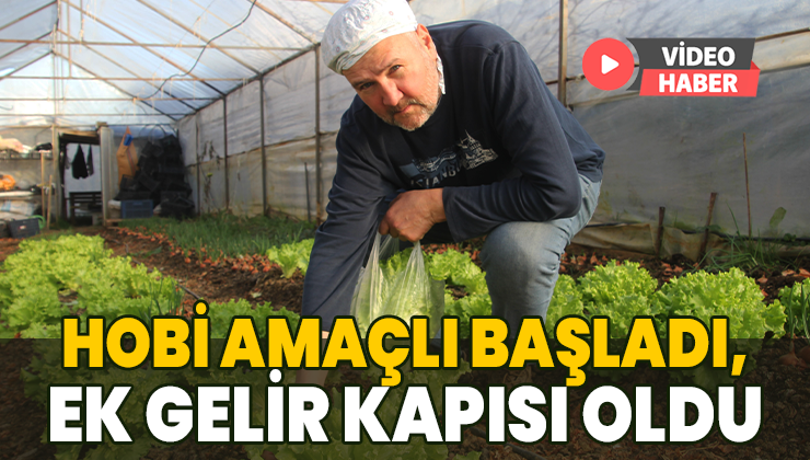 Hobi Bahçesi Emekliye Ek Gelir Sağlıyor