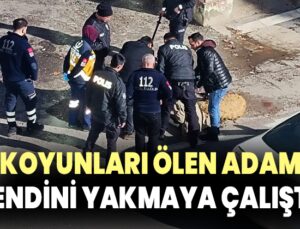 Koyunları Ölen Adam Kendini Yakmaya Çalıştı