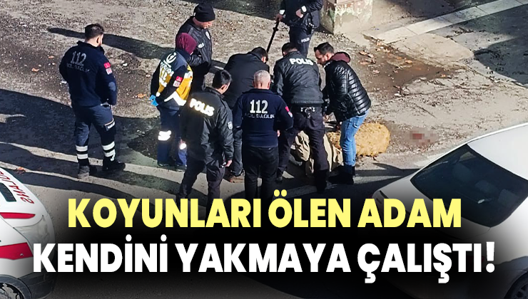 Koyunları Ölen Adam Kendini Yakmaya Çalıştı