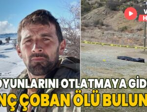 Koyunlarını Otlatmaya Giden Genç Çoban Ölü Bulundu