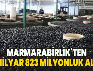 Marmarabirlik’Ten 2 Milyar 823 Milyon Liralık Alım