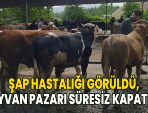 Şap Hastalığı Görüldü, Hayvan Pazarı Süresiz Kapatıldı