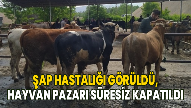 Şap Hastalığı Görüldü, Hayvan Pazarı Süresiz Kapatıldı