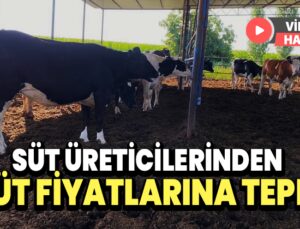 Süt Üreticilerinden Süt Fiyatlarına Tepki