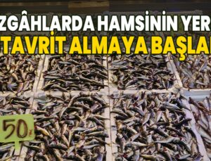 Tezgâhlarda Hamsinin Yerini Istavrit Almaya Başladı