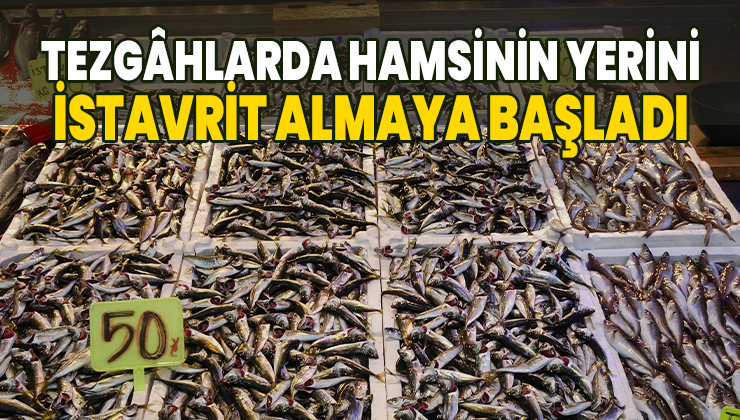 Tezgâhlarda Hamsinin Yerini Istavrit Almaya Başladı