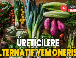 Üreticilere Alternatif Yem Olarak Mevsimsel Sebzeler Önerisi