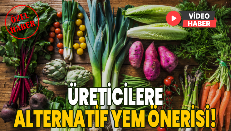 Üreticilere Alternatif Yem Olarak Mevsimsel Sebzeler Önerisi