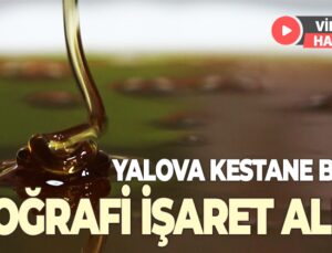 Yalova Kestane Balı Coğrafi İşaret Aldı