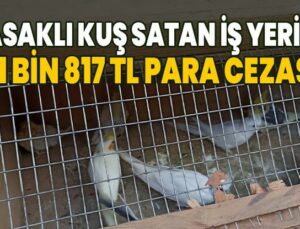 Yasaklı Kuş Satan Iş Yerine 41 Bin 817 Tl Para Cezası