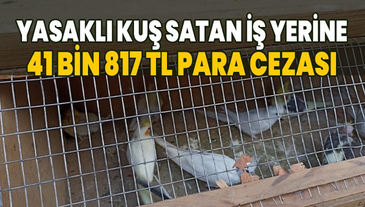Yasaklı Kuş Satan Iş Yerine 41 Bin 817 Tl Para Cezası