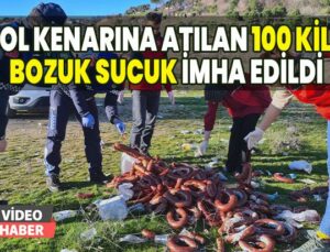 Yol Kenarına Atılan 100 Kilo Bozuk Sucuk Imha Edildi