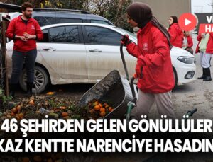 46 Şehirden Gelen 200 Gönüllü Enkaz Kentte Narenciye Hasadında