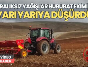 Aralıksız Yağışlar Hububat Ekimini Yarı Yarıya Düşürdü