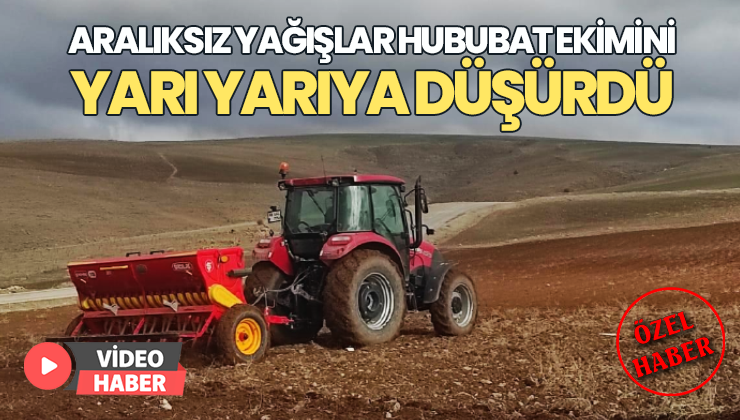 Aralıksız Yağışlar Hububat Ekimini Yarı Yarıya Düşürdü