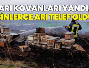 Arı Kovanları Yandı, Binlerce Arı Telef Oldu