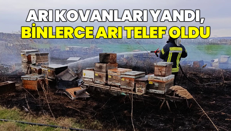 Arı Kovanları Yandı, Binlerce Arı Telef Oldu