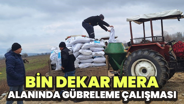 Bin Dekar Mera Alanında Gübreleme Çalışması