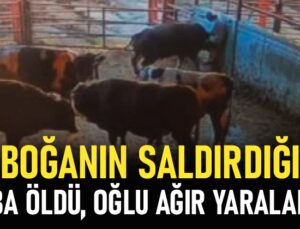 Boğanın saldırdığı baba öldü, oğlu ağır yaralandı