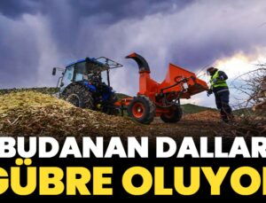 Budanan dallar gübre oluyor