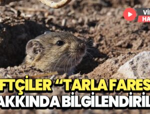 Çiftçiler “Tarla Faresi” Hakkında Bilgilendirildi