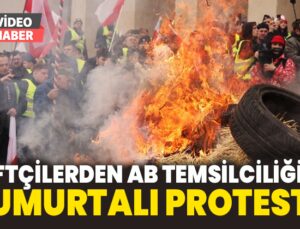 Çiftçilerden Ab Temsilciliğine Yumurtalı Protesto