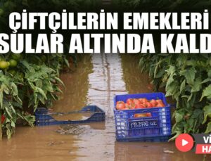 Çiftçilerin Emekleri Sular Altında Kaldı