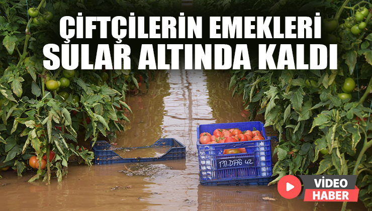 Çiftçilerin Emekleri Sular Altında Kaldı