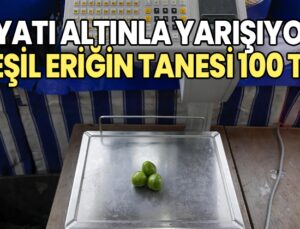 Fiyatı Altınla Yarışıyor: Yeşil Eriğin Tanesi 100 Tl