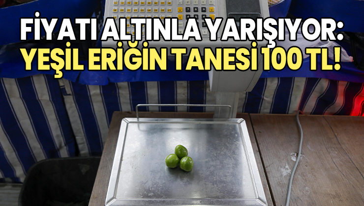 Fiyatı Altınla Yarışıyor: Yeşil Eriğin Tanesi 100 Tl