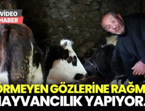 Görmeyen gözlerine rağmen hayvancılık yaparak hayata tutunuyor