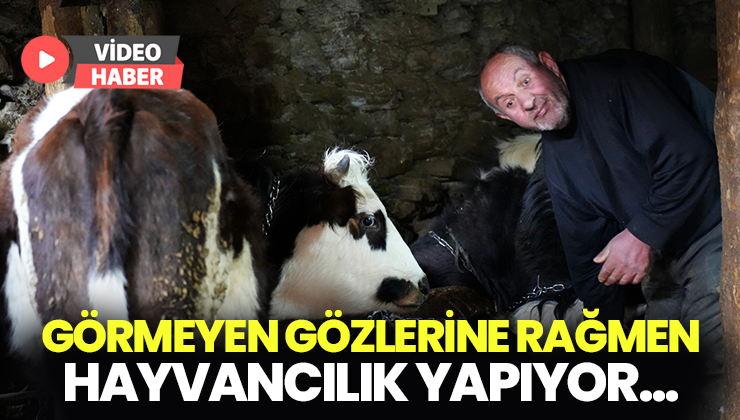 Görmeyen Gözlerine Rağmen Hayvancılık Yaparak Hayata Tutunuyor