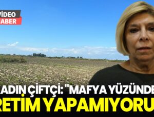 Kadın çiftçi: “Mafya yüzünden üretim yapamıyorum”