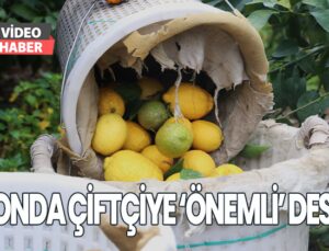 Limonda Çiftçiye ‘Önemli’ Destek: Aracısız Satış