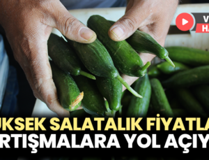 Yüksek Salatalık Fiyatları Tartışmalara Yol Açıyor