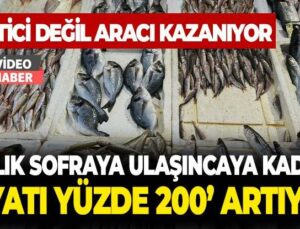 Üretici Değil Aracı Kazanıyor: Balık Sofraya Ulaşıncaya Kadar Fiyatı Yüzde 200 Artıyor